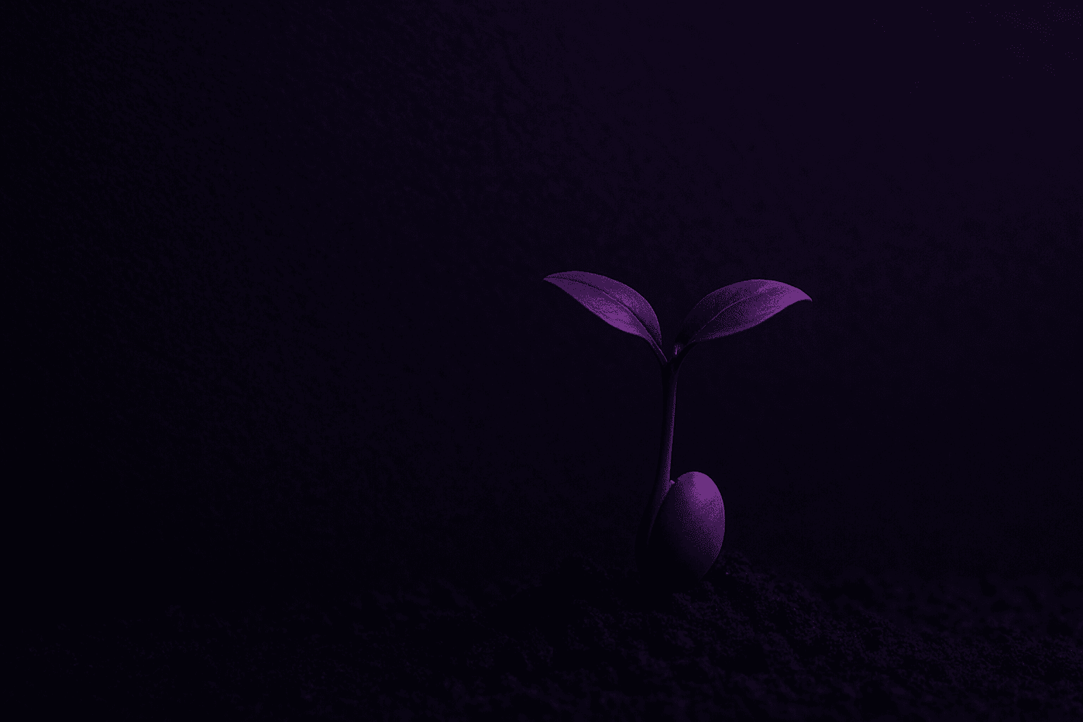 Protótipo de interface digital em construção